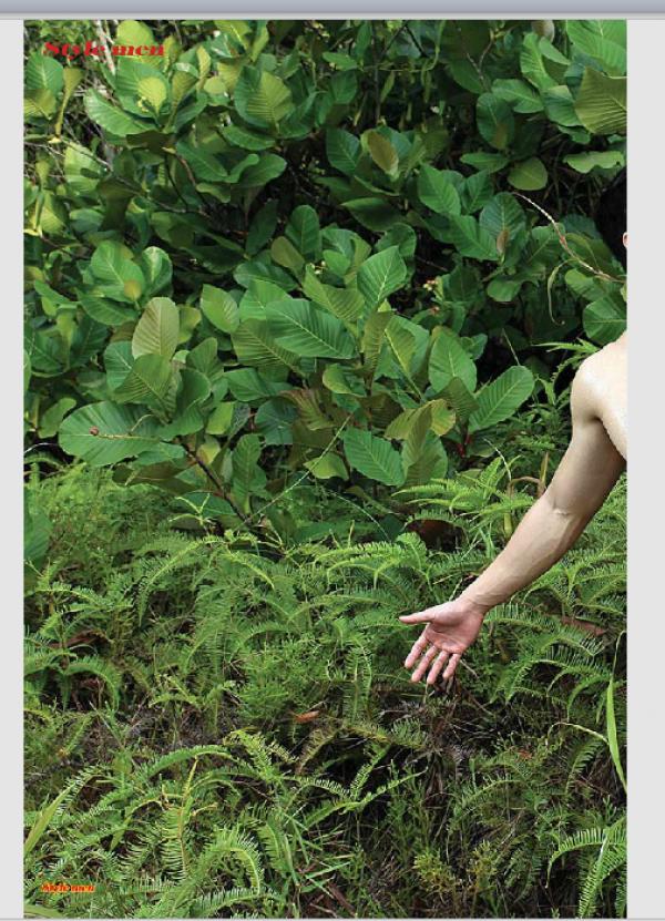 PHOTO-SET--Style-Men-X-15---Vietnamese-Go-Go-Boy-Tomas